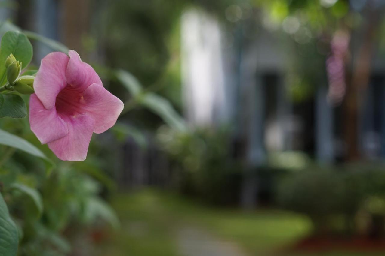 Phu Quoc Hotel Экстерьер фото
